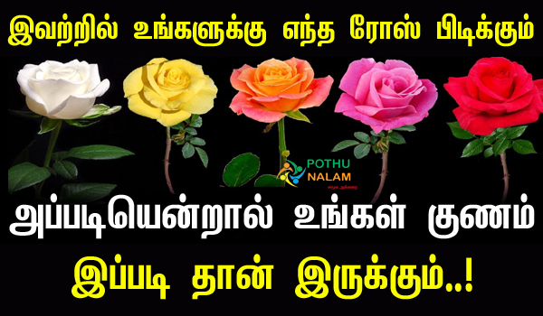 Rose Personality Test in Tamil