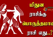 Suitable Zodiac Sign For Gemini in Tamil