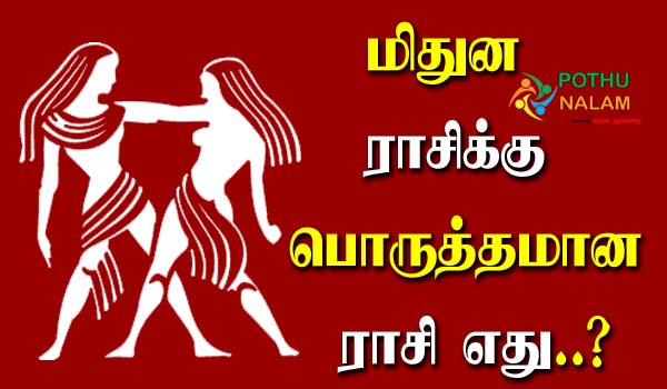 Suitable Zodiac Sign For Gemini in Tamil
