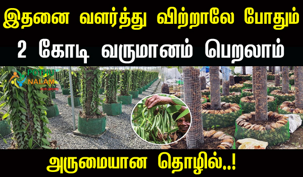 Vanilla Farming Business Plan in Tamil