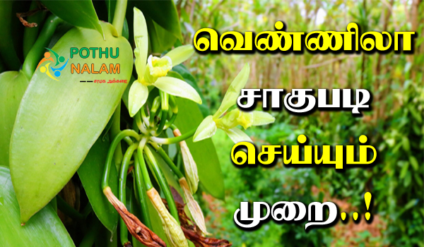 Vennila Sagupadi Tamil