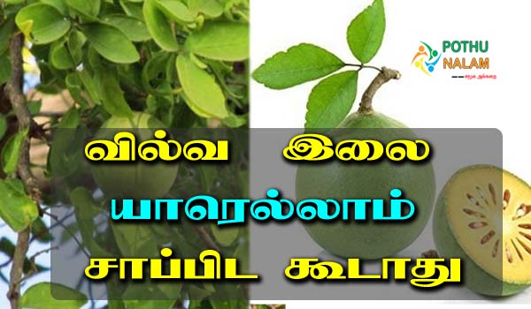 Vilva Ilai Side Effects in Tamil