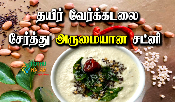 Yogurt verkadalai satni in tamil