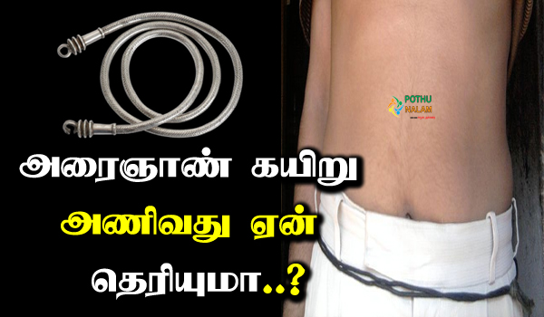 arana kayiru benefits in tamil