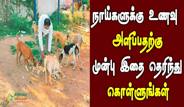 benefits of feeding dogs in astrology in tamil