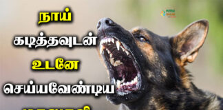 dog bite first aid in tamil