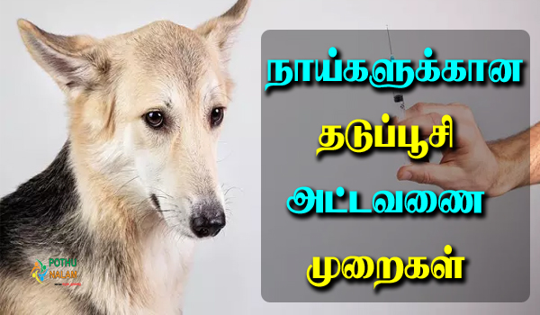 dog vaccination schedule in tamil
