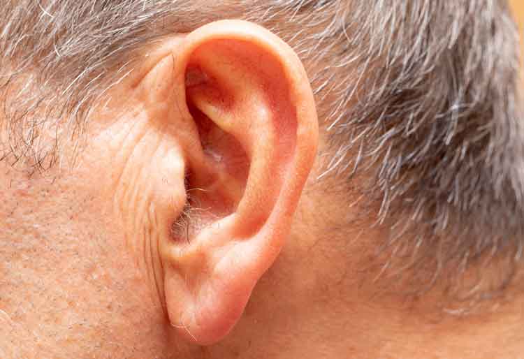 ear shape personality test tamil 