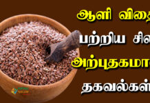 flax seeds in tamil
