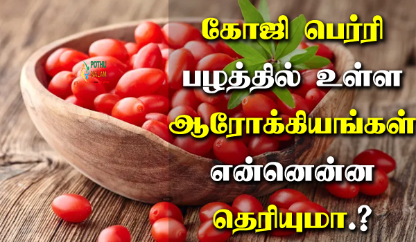 goji berry benefits in tamil