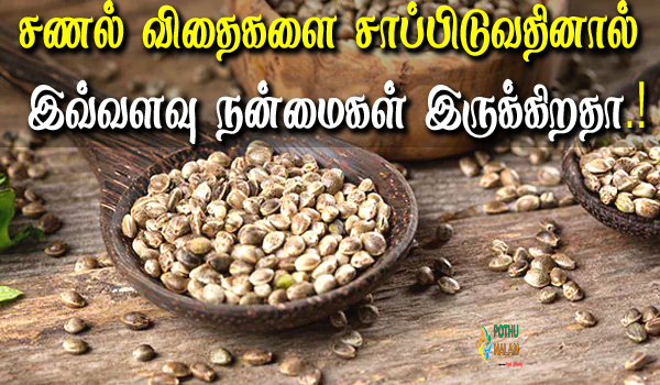 hemp seeds in tamil