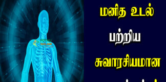 interesting facts about the human body in tamil