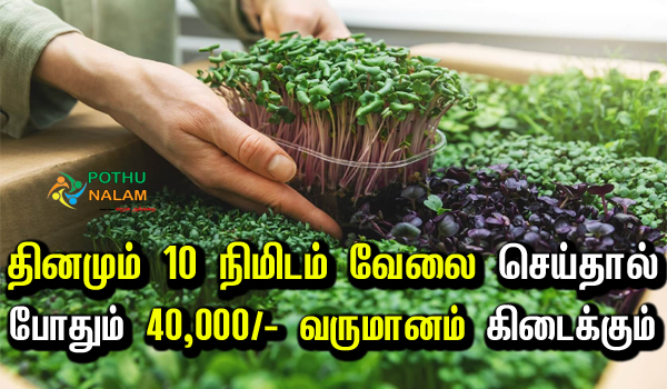 microgreens making business in tamil