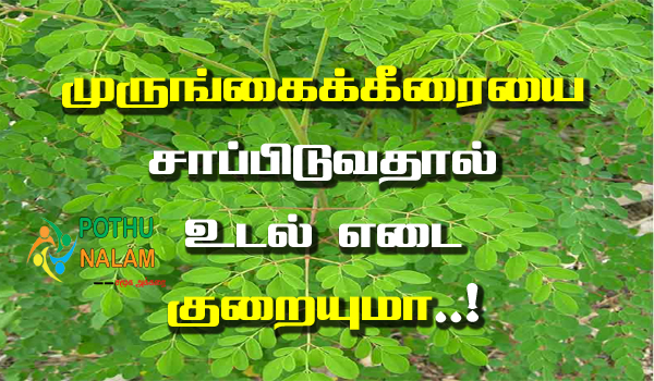 murungai keerai benefits in tamil