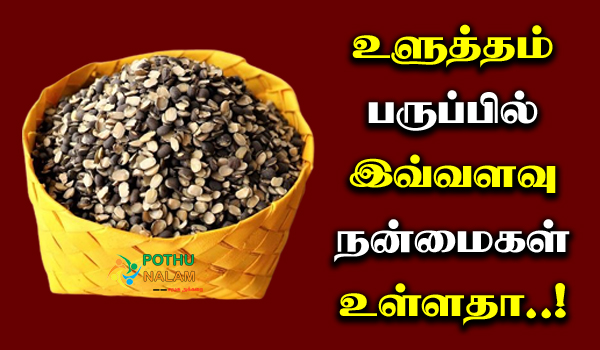 ulunthu benefits in tamil