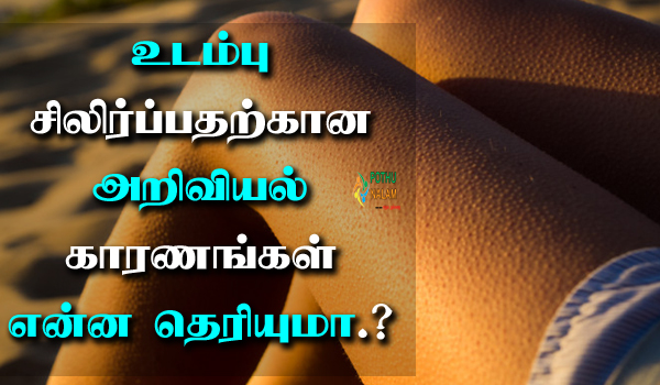 why do we get goose bumps in tamil