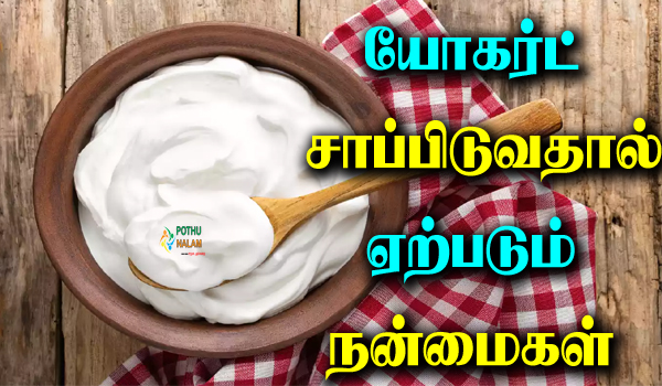 yogurt in tamil