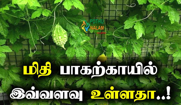 10 benefits of eating bitter in tamil