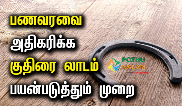 Astrology for Horse Metal Shoe in Tamil