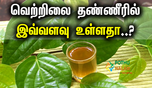 Betel Leaf Water Benefits in Tamil