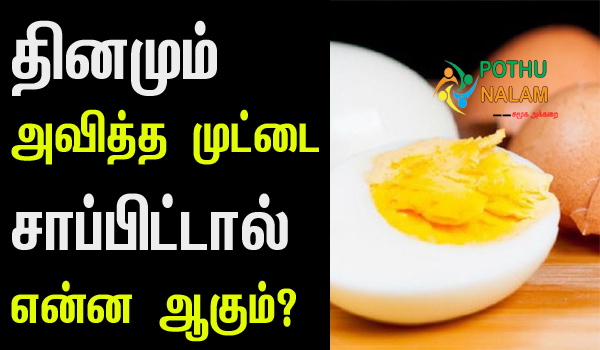 Daily Eating Boiled Egg Benefits in Tamil