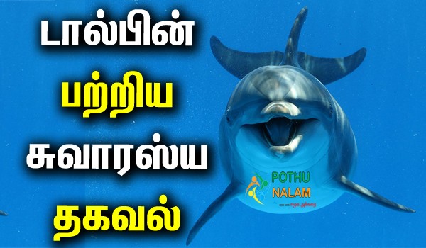 Dolphin Secrets in Tamil