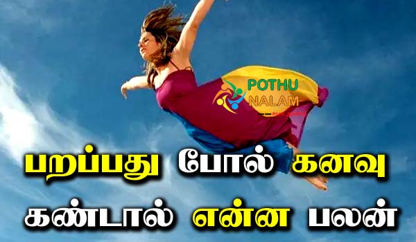 Dreams About Flying Meaning Explained in Tamil