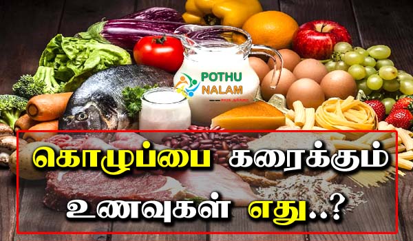 Foods That Dissolve Fat in Tamil