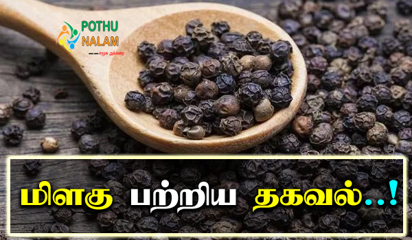 Information about Pepper in Tamil