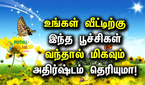 Lucky Insects for Home in Tamil