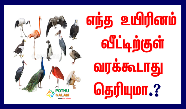 No creature should enter the house in tamil