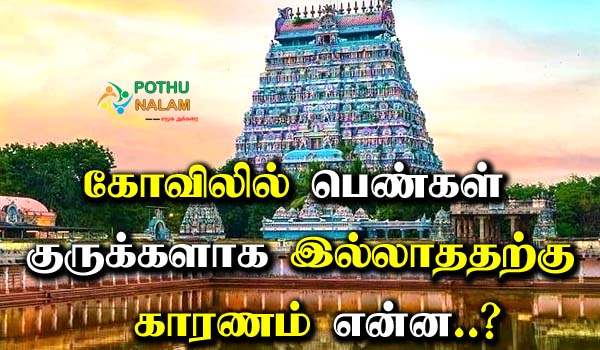 Reason For No Women Priests In The Temple in Tamil