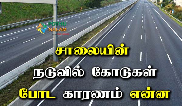 Reason For Road Line Marking in Tamil