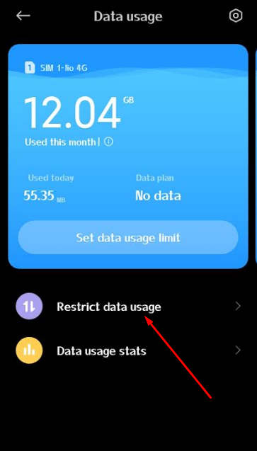 Restrict Data Usage