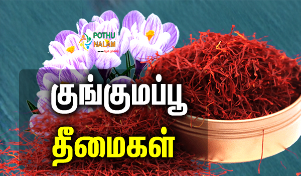 Saffron Flower Side Effects in Tamil