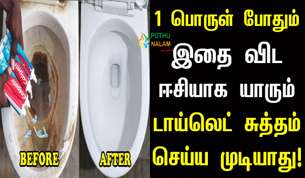 Toilet Cleaning Tips in Tamil