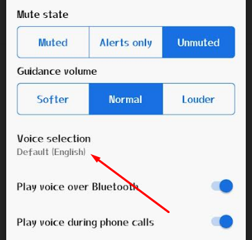 Voice Selection