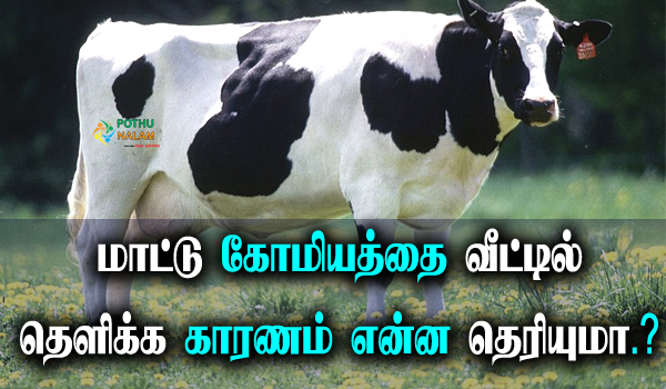What is the reason for spraying komiam at home in tamil