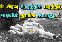 Why Not To Sleep Under A Tree At Night in Tamil