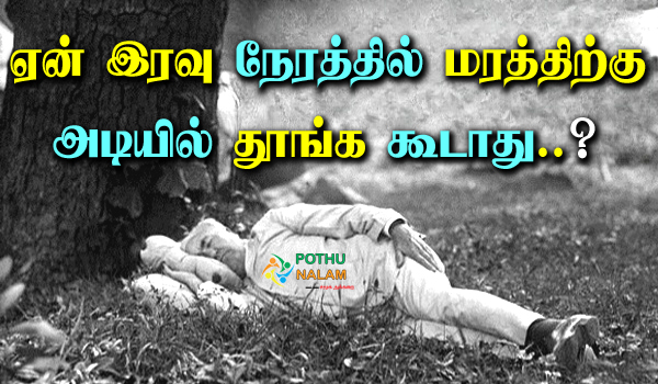 Why Not To Sleep Under A Tree At Night in Tamil