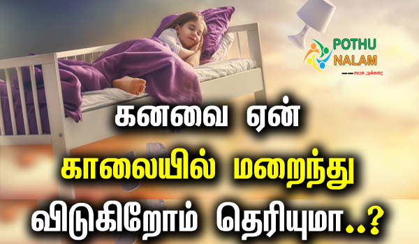 Why is the dream quickly forgotten in tamil