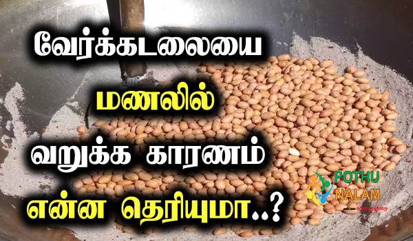Why the only roast groundnuts in soil in tamil