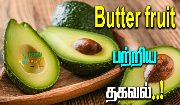 butter fruit in tamil