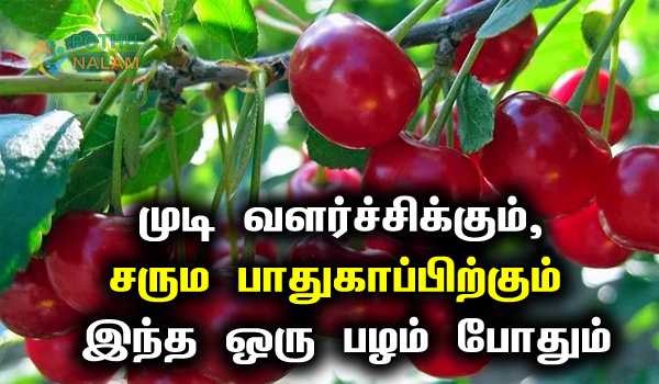 cherry fruit benefits in tamil