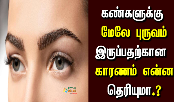 eyebrows information in tamil