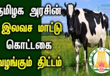 free cow shed scheme in tamil