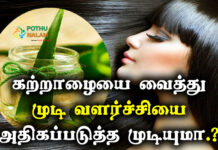 hair growth using aloe vera in tamil