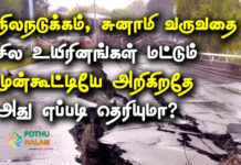 how do animals predict earthquakes in tamil