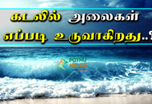 how to see ​​waveform in tamil