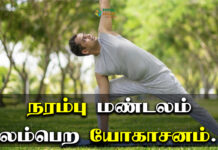 how to keep your nervous system healthy in tamil